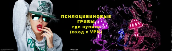 ПСИЛОЦИБИНОВЫЕ ГРИБЫ Абаза
