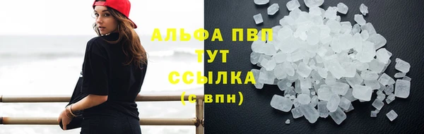 ПСИЛОЦИБИНОВЫЕ ГРИБЫ Абаза