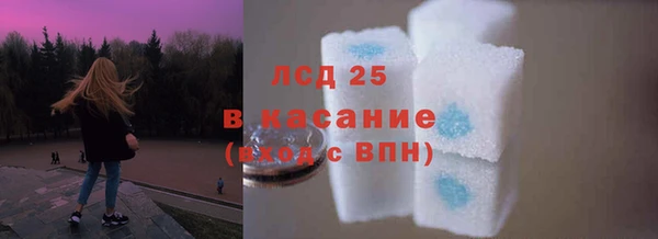 ПСИЛОЦИБИНОВЫЕ ГРИБЫ Абаза