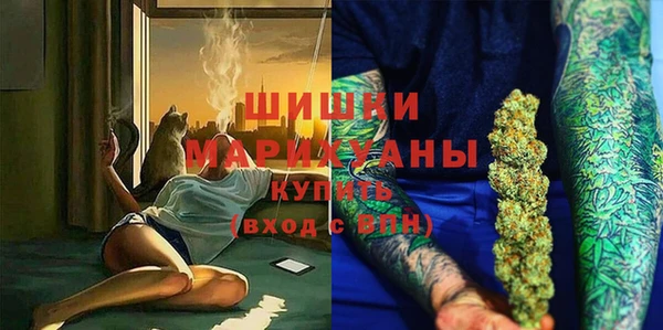 ПСИЛОЦИБИНОВЫЕ ГРИБЫ Абаза