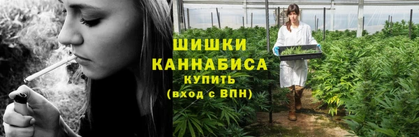 ПСИЛОЦИБИНОВЫЕ ГРИБЫ Абаза