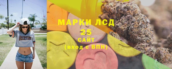 ПСИЛОЦИБИНОВЫЕ ГРИБЫ Абаза